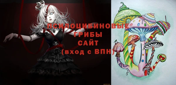 соль ск Алзамай