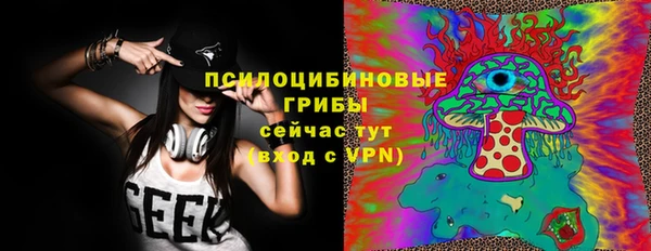 не бодяженный Алексин