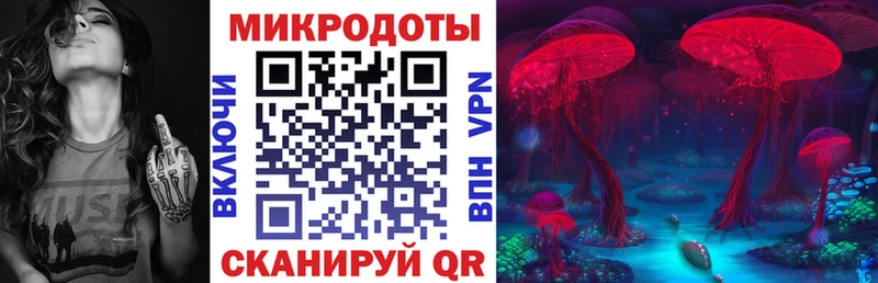 Галлюциногенные грибы Magic Shrooms Новокубанск