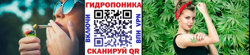 Шишки марихуана White Widow Новокубанск