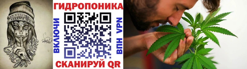 OMG как войти  Новокубанск  Конопля сатива 